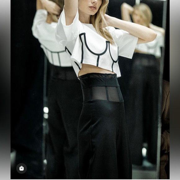 Murmur Sheer Waist Corset Pants Mesh FRAME TROUSERS palazzo wide leg boning mur - Picture 3 of 16